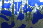 DSCF7656w