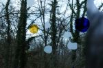 DSCF7701w